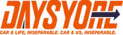 Daysyore logo