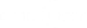 Domlust logo