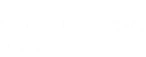 FINTISO logo