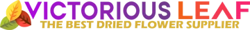 VictoriousLeaf logo