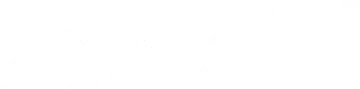 ZOMCHI logo